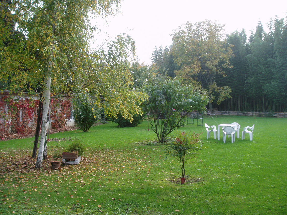 Borgo Palazzo Steffaneo Bed & Breakfast San Vito al Torre Exterior photo